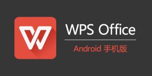 WPS官网下载失败？安装包无法获取的主要原因