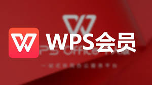 为什么 WPS 官网总提示“无法访问此网站”？